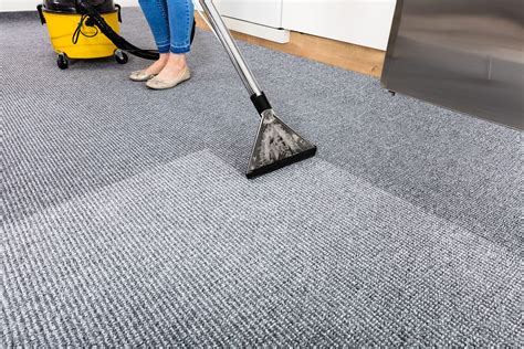 contemporary carpet cleaning